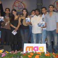 Siddharth's Oh My Friend Audio Launch - Pictures | Picture 103126